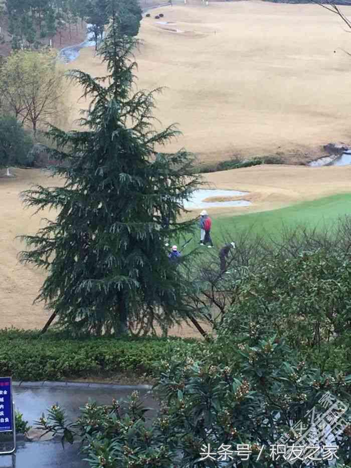 安吉jw万豪酒店攻略,杭州JW万豪白金入住体验