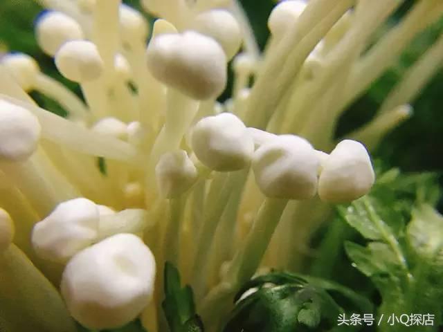 听说运城这对“公婆”很厉害，承包你整夜空虚寂寞冷！