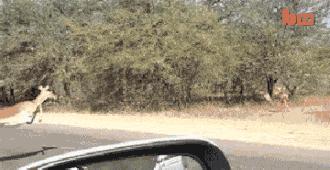 网吧偶遇飞车高手,在网吧遇到了一个游戏大神