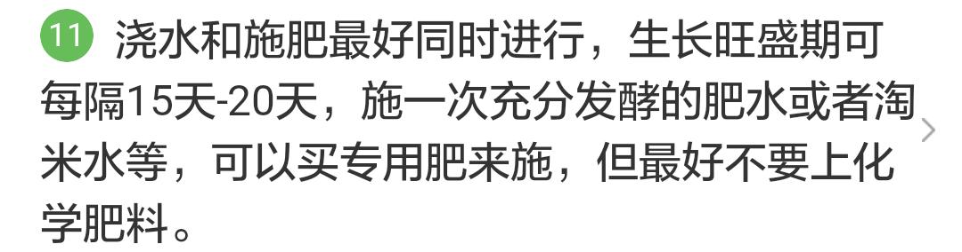 君子兰掉的小根能繁殖吗,君子兰繁殖不分盆好看吗