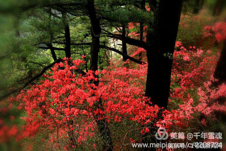 永远的余子店——文/刘宏冰