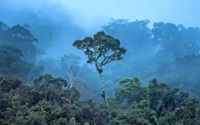 琼中县的特点,琼中是什么样子的