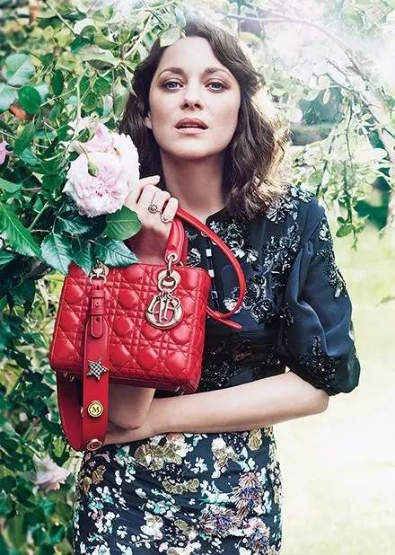 赵丽颖棕色包,赵丽颖名牌包