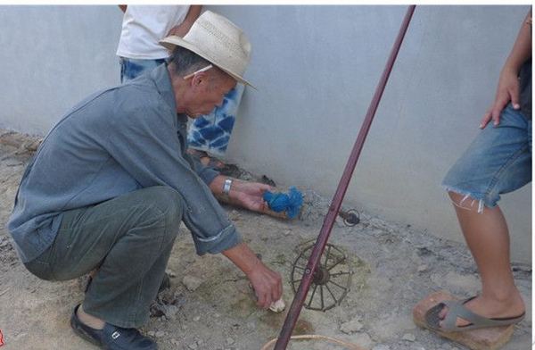 捉甲鱼技术视频,捕甲鱼绝技