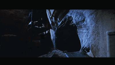 这是你们要的大长腿，备好纸巾，准备上下其手吧