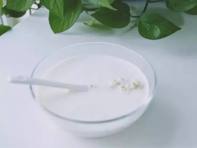 超好喝的营养麦片,麦片哪个牌子好吃又减肥