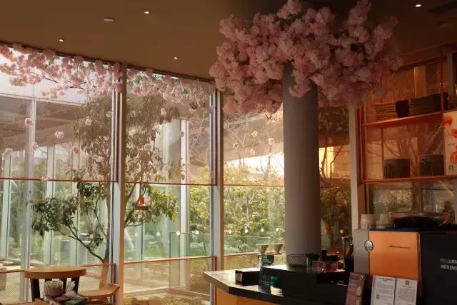 星巴克樱花杯直播间,星巴克限定樱花咖啡饮品