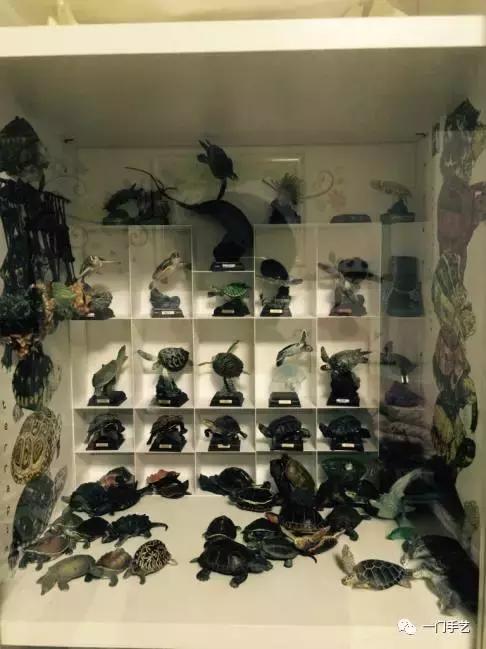 动物模型龟类,乌龟哪个模型好看