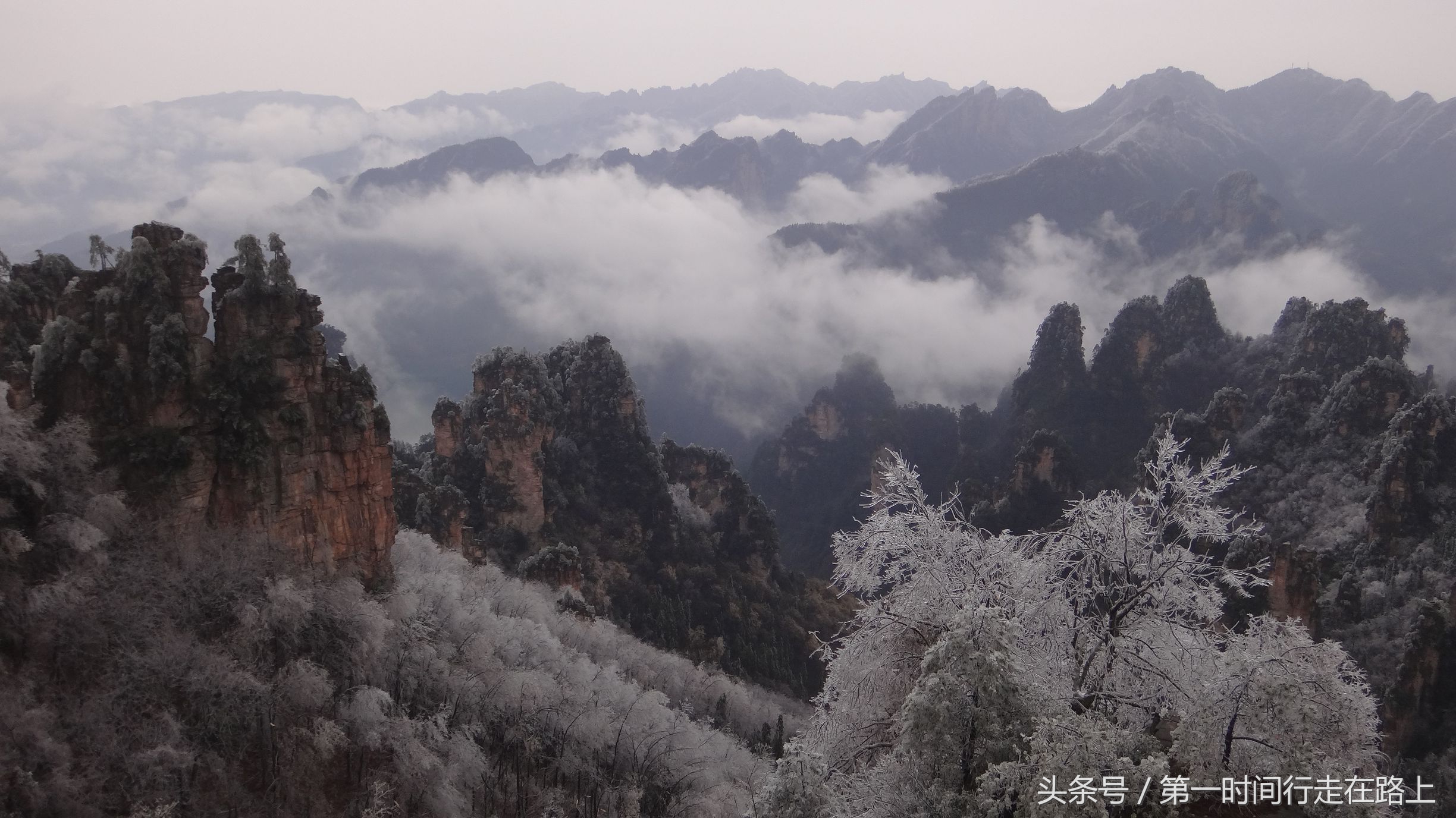 张家界浪漫之地,张家界最浪漫的婚纱
