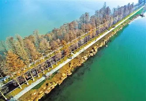 尖叫吧结局,尖叫吧完整版免费观看