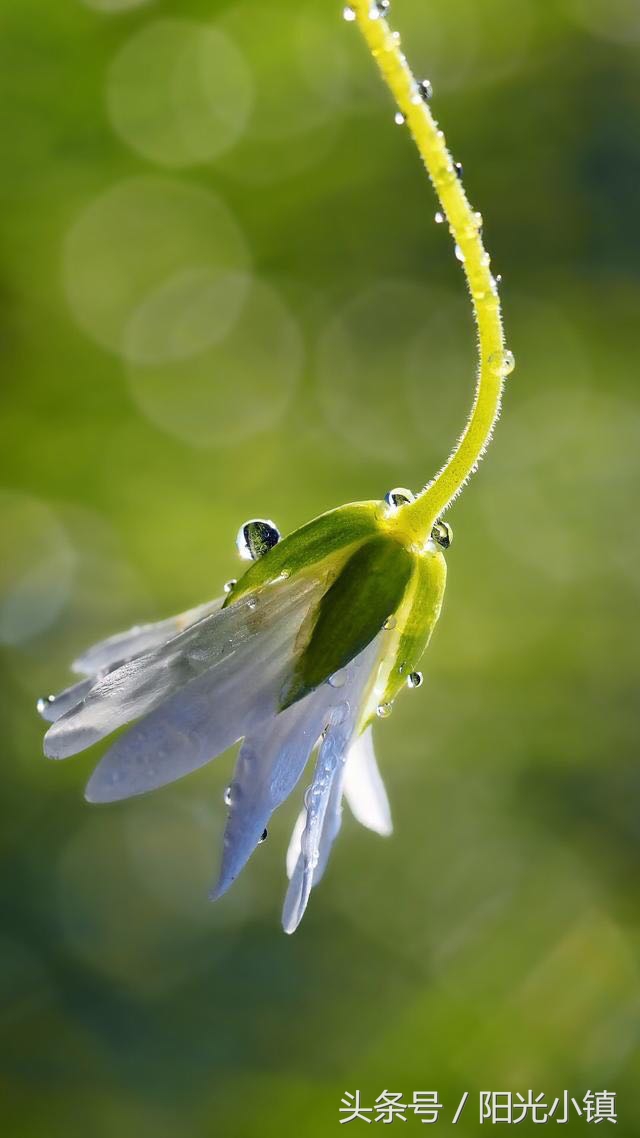 鎴戠殑鑹伴毦鏃ュ瓙,鎴戠殑鑹伴毦宀佹湀