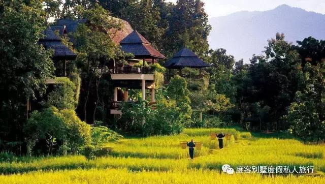 清迈四季酒店值得去吗,清迈四季酒店在哪里