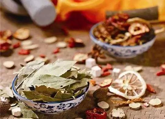 刘虎岐：想要种中草药赚钱，你先得了解它们！