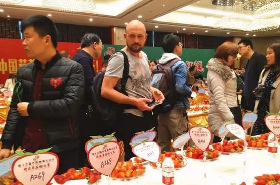 谁是草莓界的NO.1？国内外最好吃的草莓都来长丰打擂！