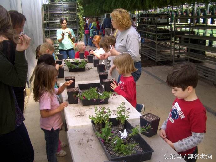 2020小县城低成本暴利生意有哪些,回自己县城做什么冷门生意赚钱