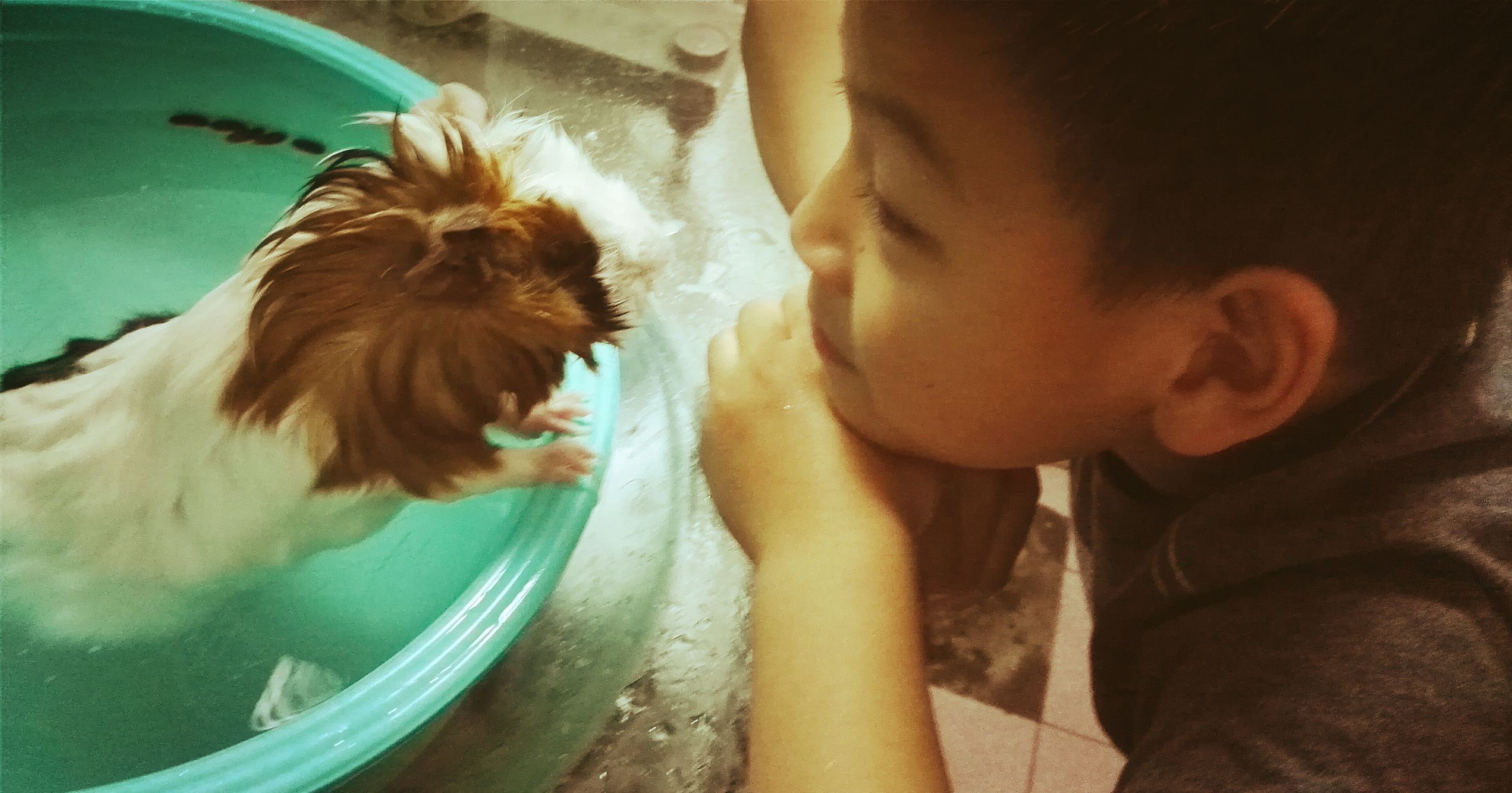 6岁孩子养宠物好处,6岁宝宝养宠物