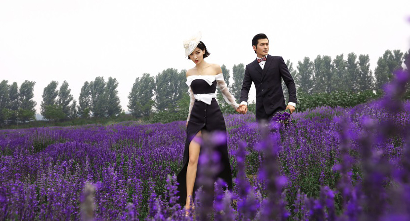 薰衣草的浪漫花语和寓意,薰衣草花语和寓意是什么