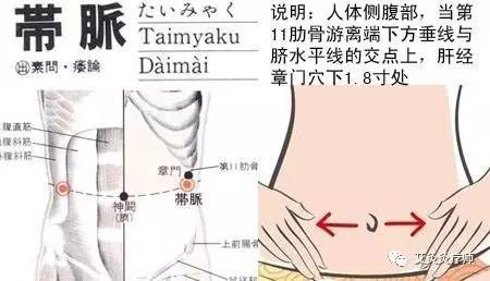 艾灸经络塑形,艾灸哪个穴位可以减内脏脂肪