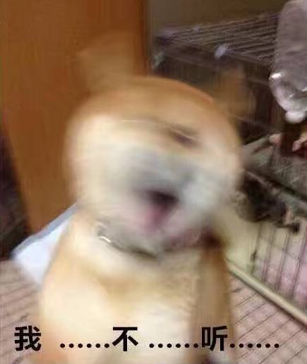 寒潮强势来袭安徽大范围降雨在线 (寒潮预警安徽局部降温超14)