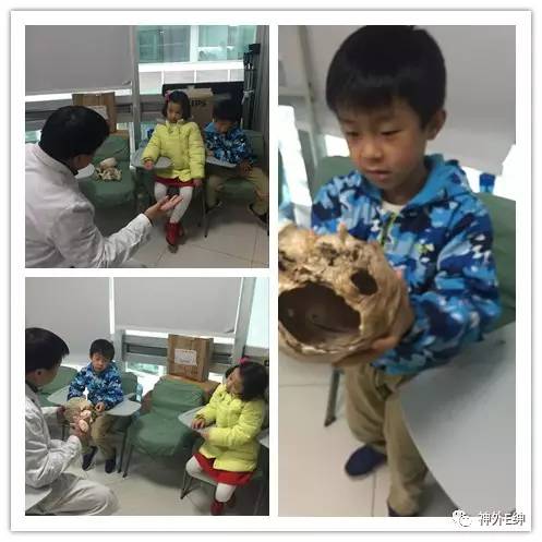 微观察小视频,微观察小视频小学生