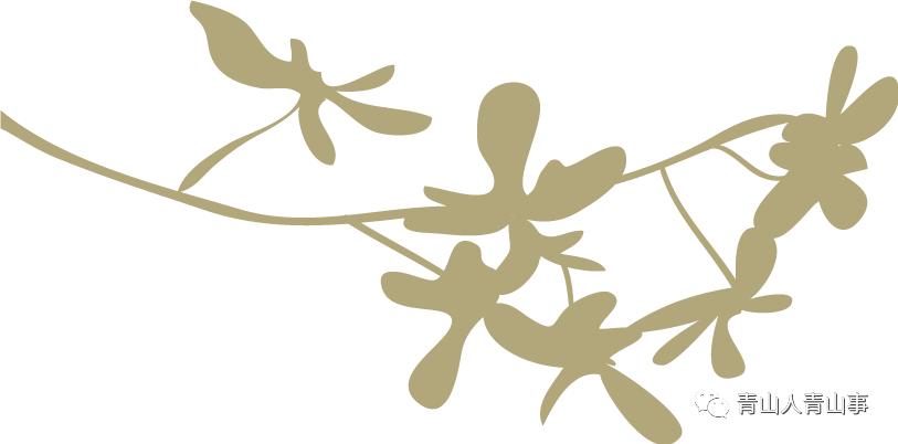 清除牛皮癣志愿者在行动意义何在,志愿者走进校园开展公益消杀