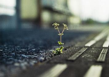 九年前买墓地易主,老人买墓地26年后续