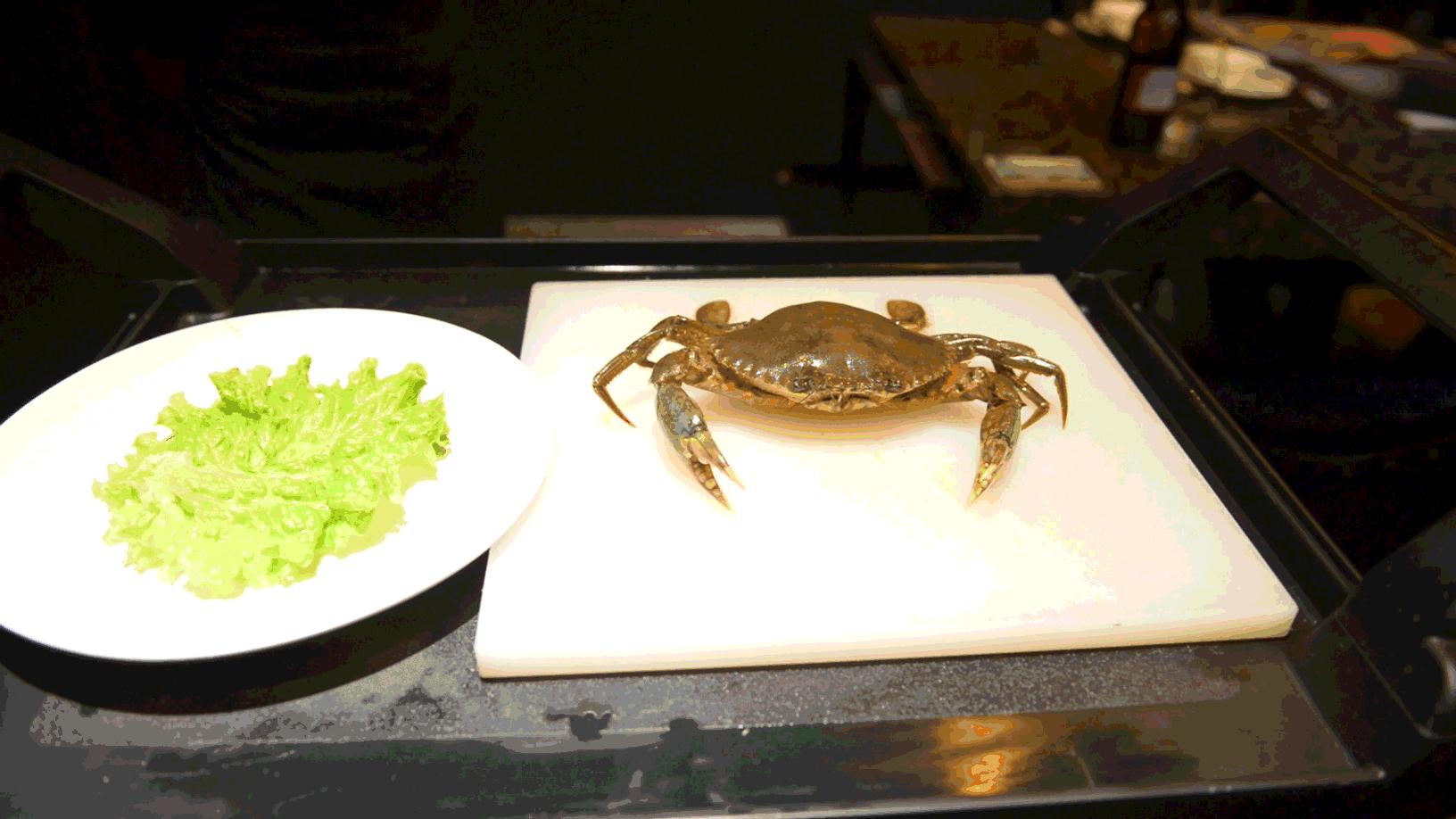 网红豪华坐骑皮皮虾,失踪后再现魔都竟然是在这里,带走它唯一的方法就是……