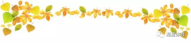 绔炴妧浣撹偛浣撴牎,绔炴妧浣撹偛鑽ｈ獕