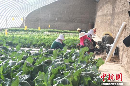 榆中山村改造图片,穷山村改造成富裕村