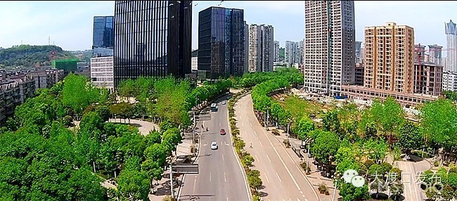 这是一个创业的好地方！而且，它就在大渡口