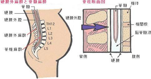 顺产6斤女宝记录,第一胎6斤多能顺产吗