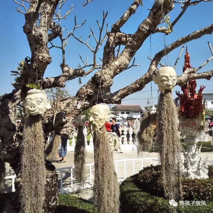 能在异国被警察抓也没谁了吧？这是我的清迈，和你去的不一样！