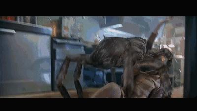 这是你们要的大长腿，备好纸巾，准备上下其手吧