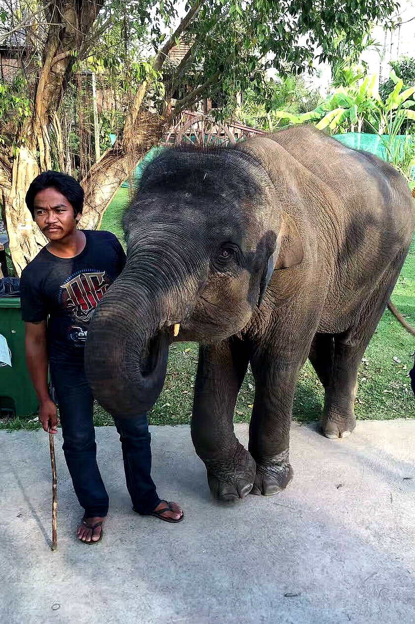 在泰国体验spa感受做女人的幸福,在泰国体验spa