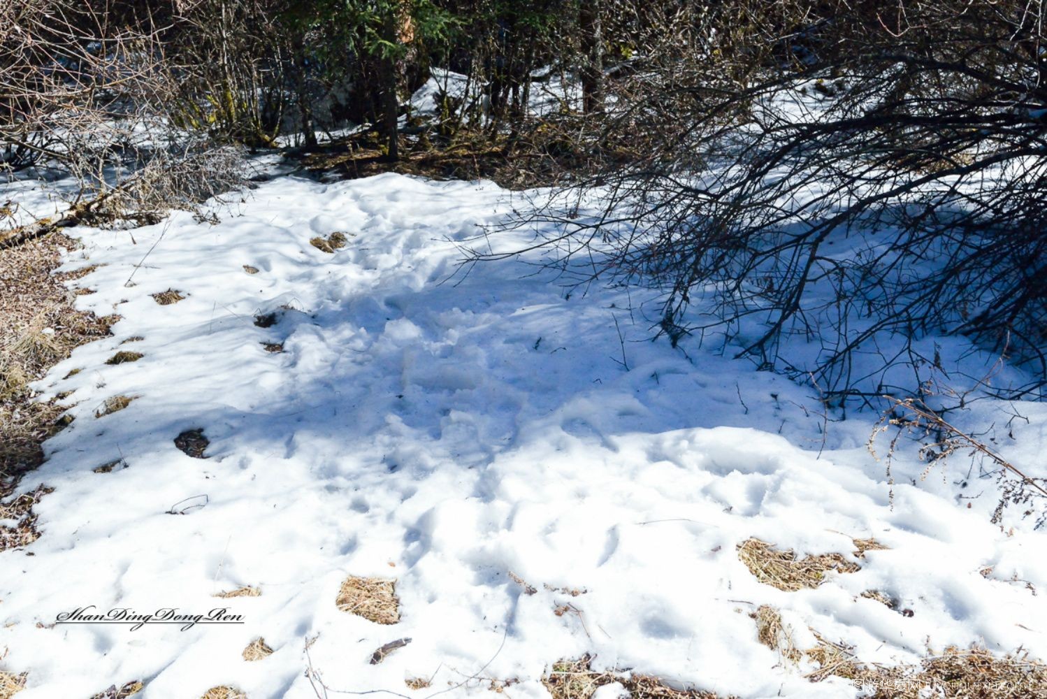 牟尼沟自由行旅游攻略,牟尼沟的人间仙境