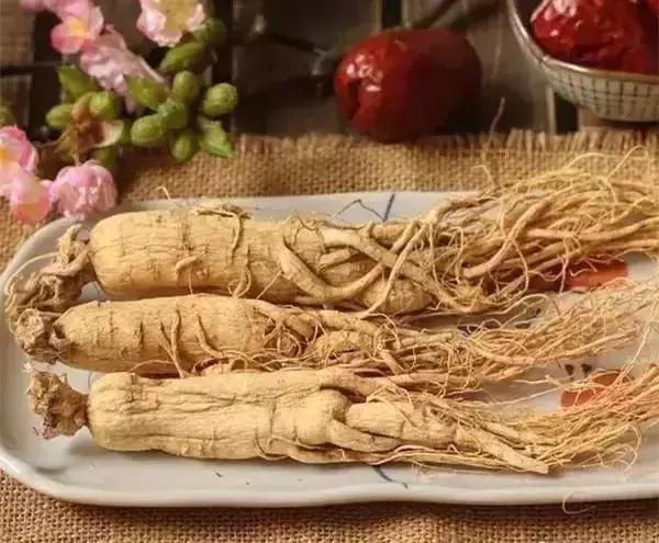 刘虎岐：想要种中草药赚钱，你先得了解它们！