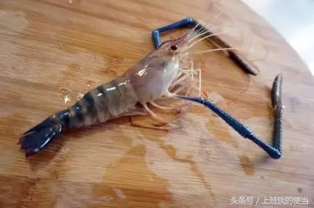 罗氏虾与澳洲小龙虾的区别,罗氏虾和基围虾区别哪个好