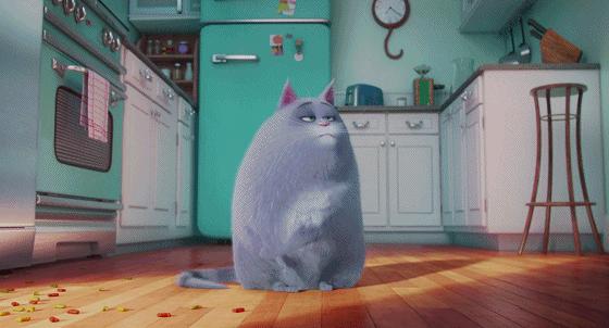 这些猫狗男女都爱看