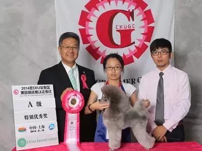 狗狗打比赛项目有哪些,狗狗比赛都有什么项目