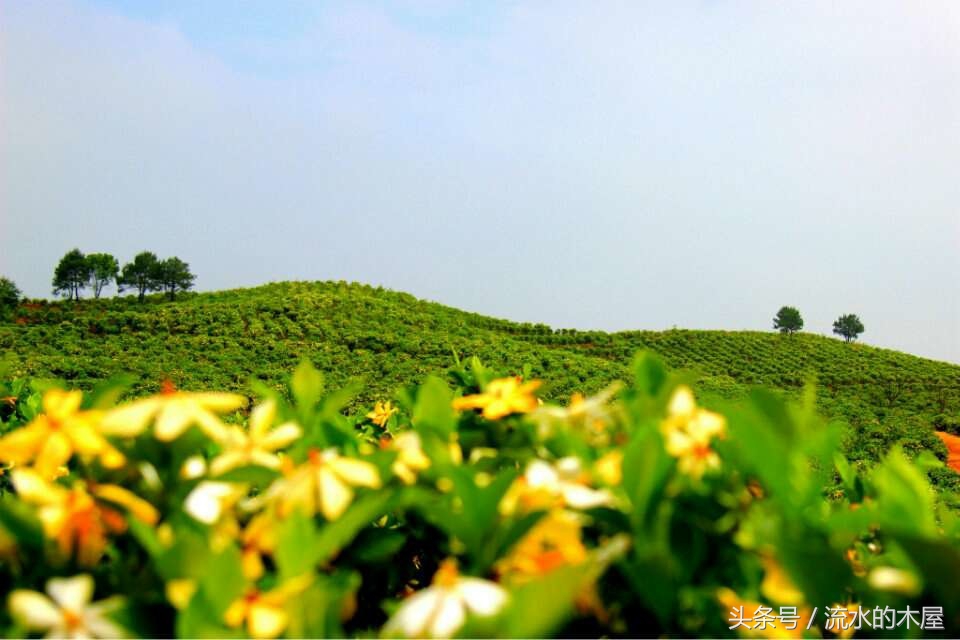 德兴黄柏最新消息,德兴黄柏火灾新闻