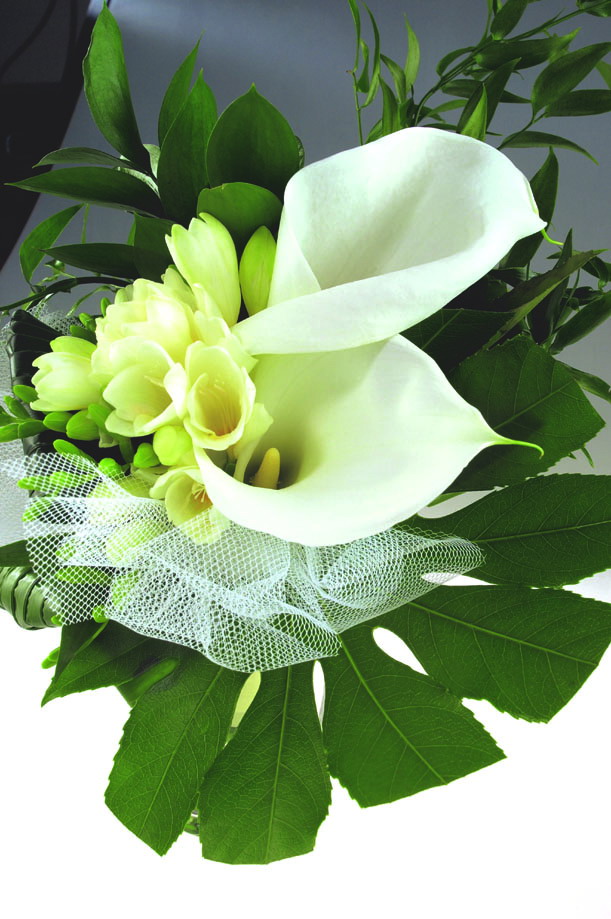 调教女人的软硬兼施策略