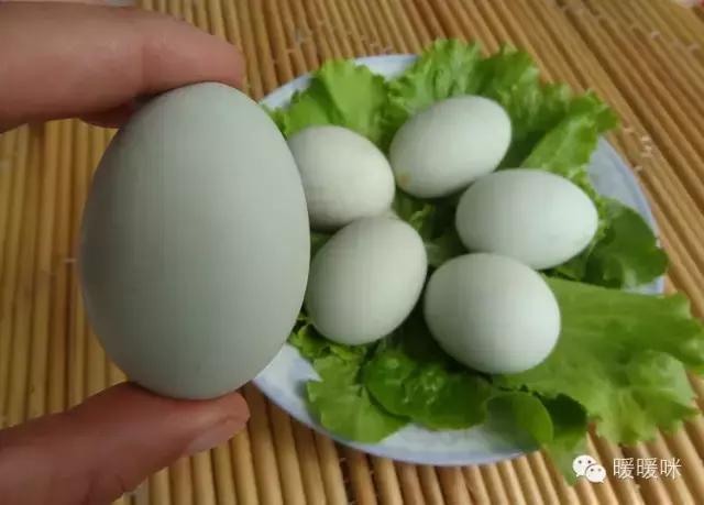 暖暖辅食,暖儿辅食大全及做法