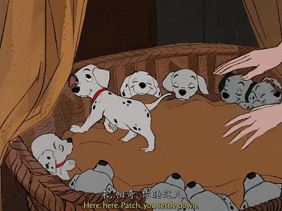 这些猫狗男女都爱看