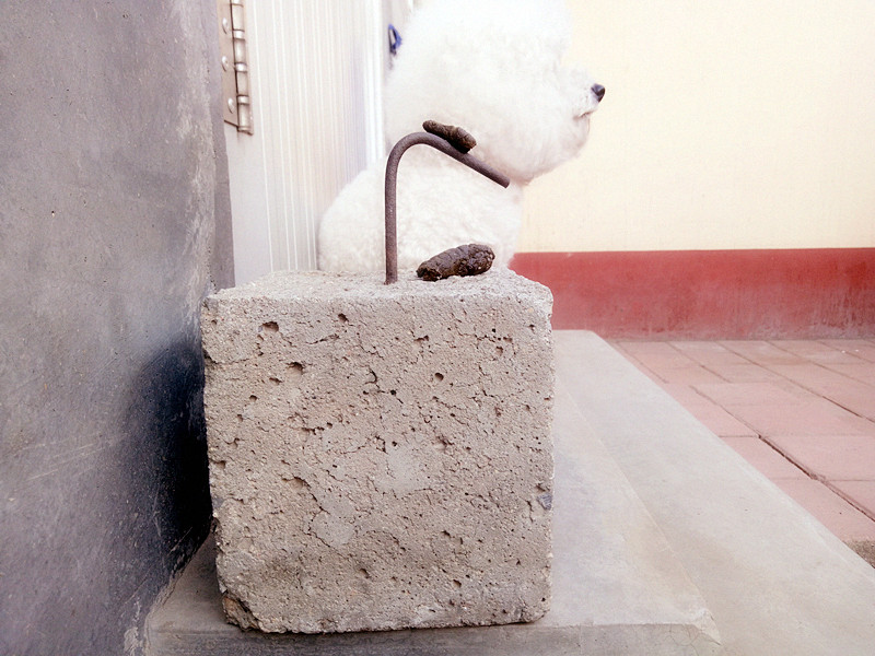 当我抬脚正要进屋时,目光突然被脚下一块顶门砖吸引了!