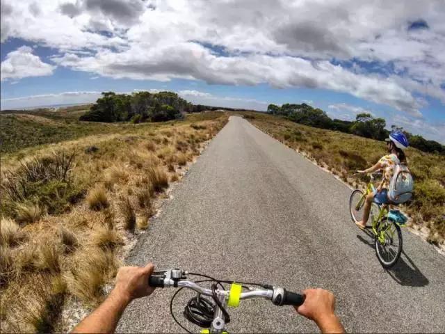最萌短尾矮袋鼠,澳洲偶遇袋鼠