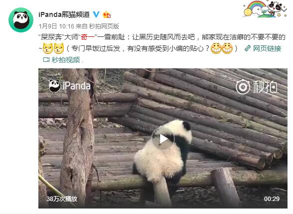 抱大腿暴富后续,抱大腿走上人生巅峰