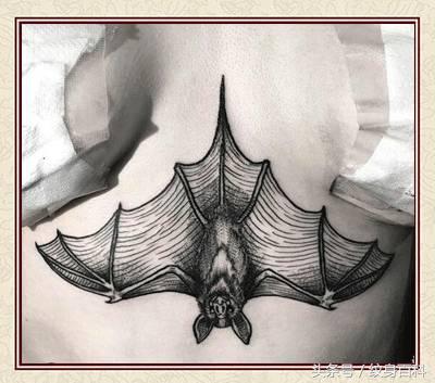 粉丝求图,粉丝求素材原图怎么回复