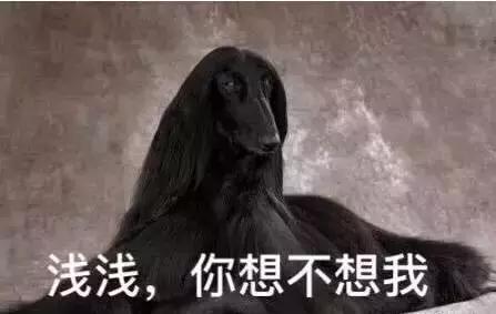 离镜张彬彬杨幂,离镜张彬彬语音曝光