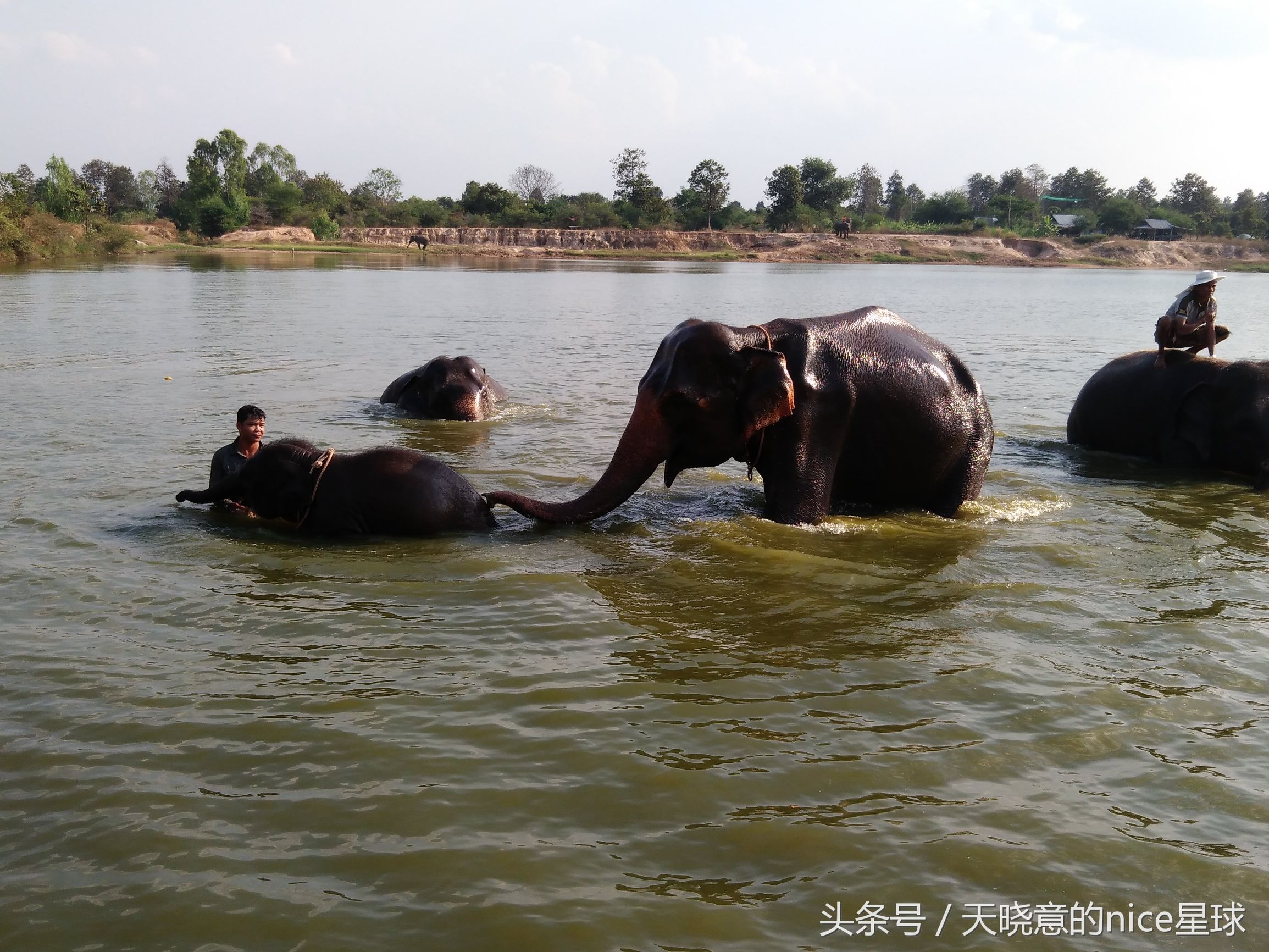 泰国大象旅行记,泰国旅游跟大象近距离接触
