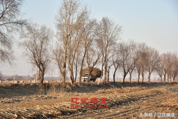 今天二月二,今日二月初二